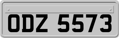 ODZ5573