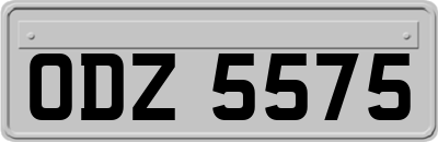 ODZ5575