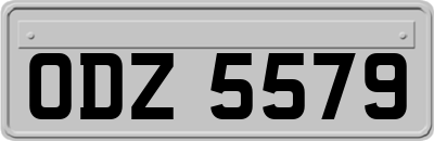 ODZ5579