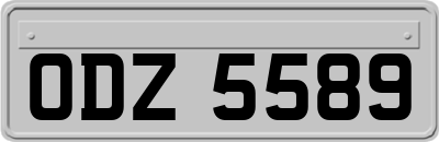 ODZ5589