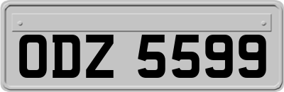 ODZ5599