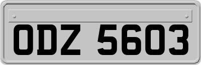 ODZ5603
