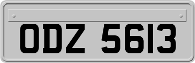 ODZ5613