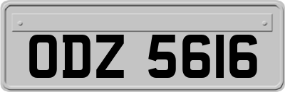 ODZ5616