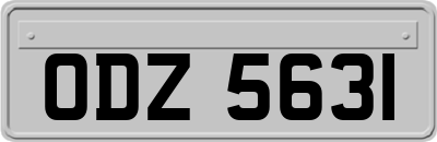 ODZ5631