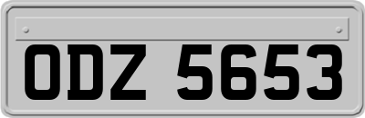 ODZ5653