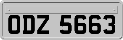 ODZ5663