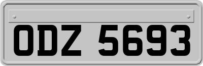 ODZ5693