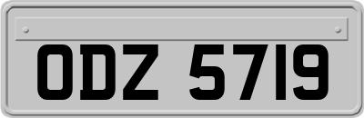 ODZ5719