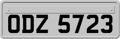 ODZ5723