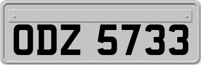 ODZ5733