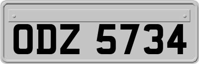 ODZ5734