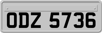 ODZ5736