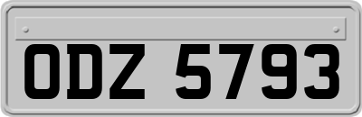ODZ5793