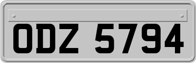ODZ5794