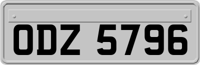 ODZ5796