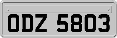 ODZ5803
