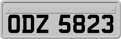 ODZ5823