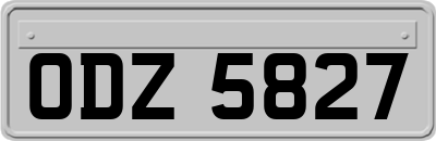 ODZ5827