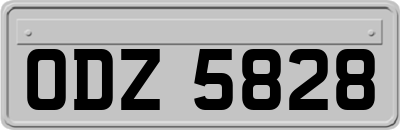 ODZ5828