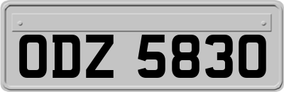ODZ5830