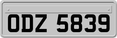 ODZ5839