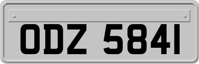 ODZ5841