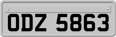 ODZ5863
