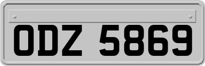 ODZ5869