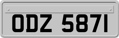 ODZ5871