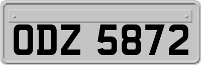 ODZ5872