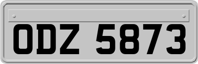 ODZ5873