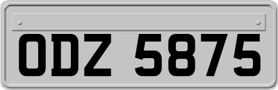ODZ5875