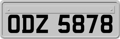 ODZ5878