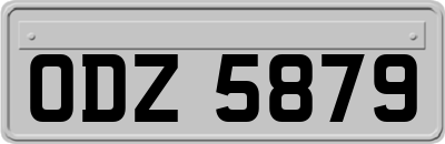 ODZ5879