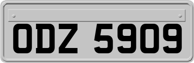 ODZ5909