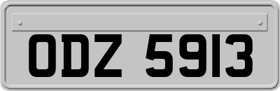 ODZ5913
