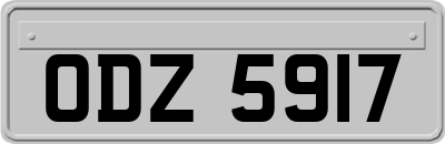 ODZ5917