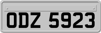 ODZ5923