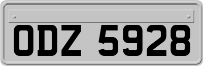 ODZ5928