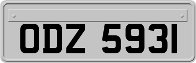 ODZ5931