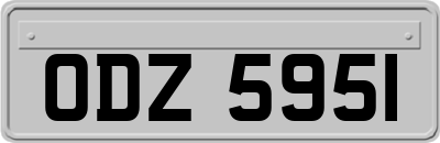 ODZ5951