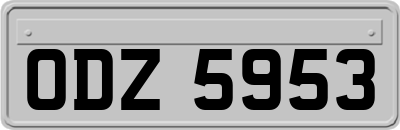 ODZ5953