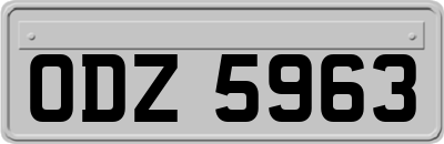 ODZ5963