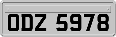 ODZ5978