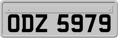 ODZ5979