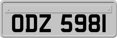 ODZ5981