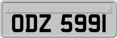ODZ5991
