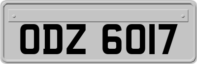 ODZ6017
