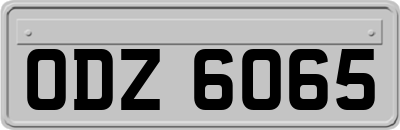 ODZ6065